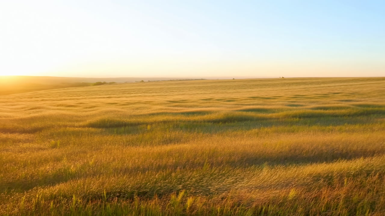 Sunrise Over Golden Grassland Rolling Prairie Bathed In Warm Light, Drone Sweep Captures Endless Wheat Fields