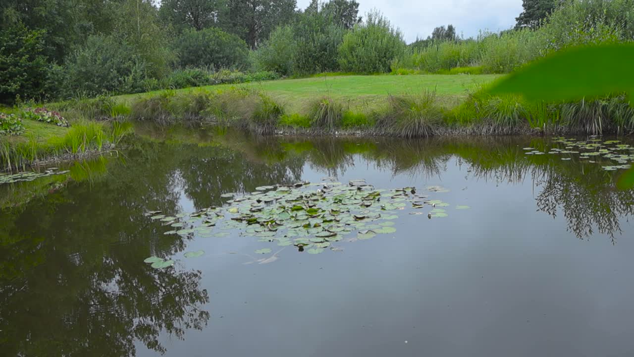 A rural lake or a pond in Saaremaa Estonia during the summer time what reflects its surroundings on the water