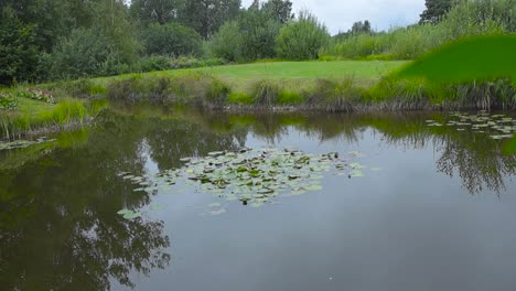 a rural lake or a pond in saaremaa estonia during the summer time what reflects its surroundings on the water