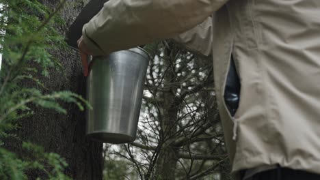 Male-farmer-checks-the-Maple-Syrup-aluminium-tap-bucket-in-the-cold-woods