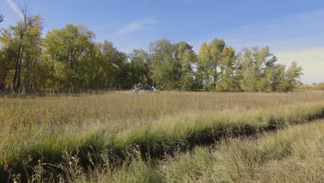 蒙大拿州波茲曼河 (bozeman river) 位於美國北部