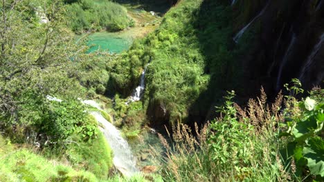 wild nature in zadar, croatia