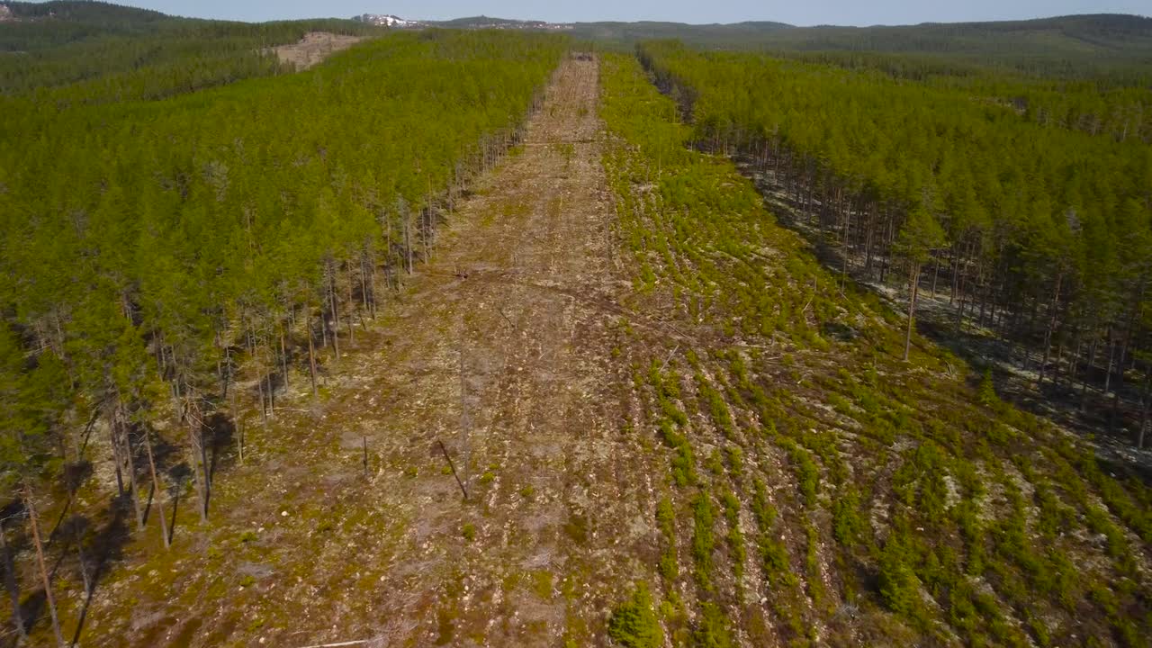 Aerial drone footage moving forward along a path that has been cut down with deforestation in a green colorful pine forest in Sweden during a sunny day. Horizon and hills visible in the background.