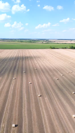 this video showcases a beautiful golden stubble field adorned with numerous hay bales, all set against a vibrant blue sky. it captures the peaceful and picturesque scene of a completed harvest
