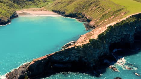 trees, bali, blue sea, nusa penida, drone photography, traveller, crashing waves, aerial shot, aerial photography, island life, asia, drone beach, active, tidal, hike, portrait