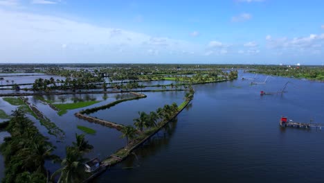 kadamakudy chellanam landscape, green coconut tree near the backwaters