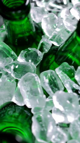 cold beer bottles in ice