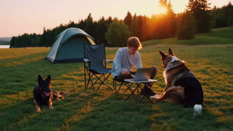 man camping with dog and working on laptop