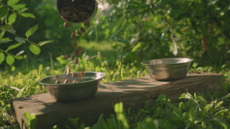 close up of person pouring dog feed into metal bowl on plank outdoors, with another empty metal bowl next to it, lush green background featuring leaves, grass, and trees