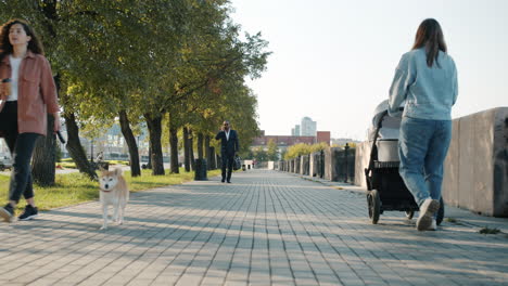 city park stroll with people