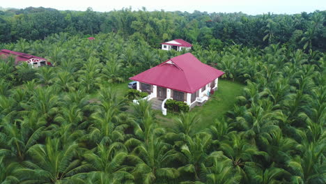 Plano-Medio-Aéreo-De-Tres-Casas-De-Campo-Dentro-De-Un-Recinto-De-Granja-De-Coco