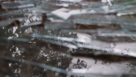 Tree-reflected-in-pieces-of-broken-glass-lying-on-the-ground