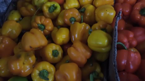 Pimientos-Amarillos-Y-Rojos-En-Una-Tienda-De-Verduras