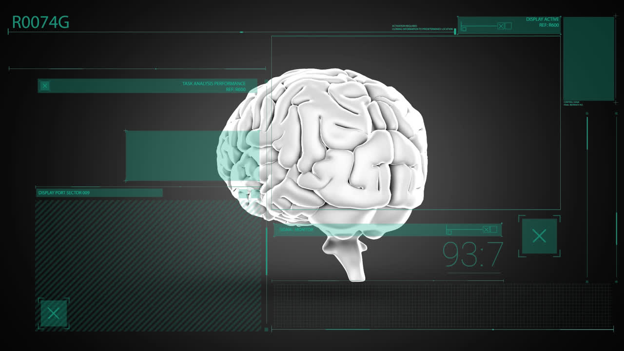 Animation of human brain and data processing