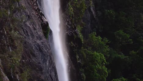 view of a water falling down the rocky wall with lush green bushes in the background, dark and moody morning