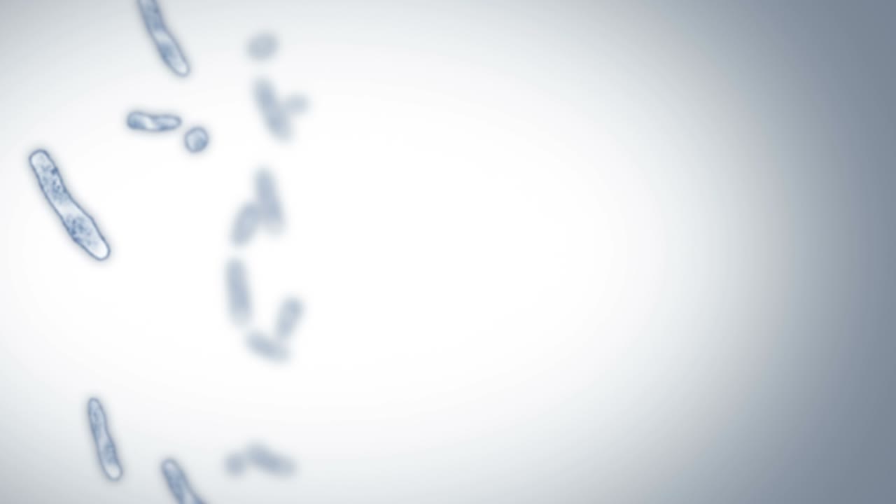 Cellula virale in forma lineare. Virus patogeni che causano infezione. Animazione in loop di virus umano. Microrganismo batterico. Epidemia di malattia virale