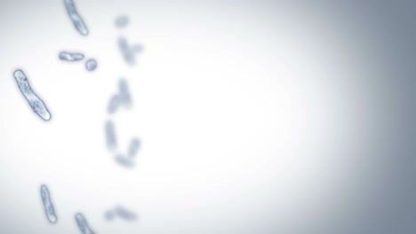 virus de célula en forma lineal. virus patógenos que causan infección. animación en bucle de virus humanos. microorganismo bacteriano. brote de enfermedad viral.