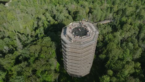 beautiful wooden tower hiking trail-2