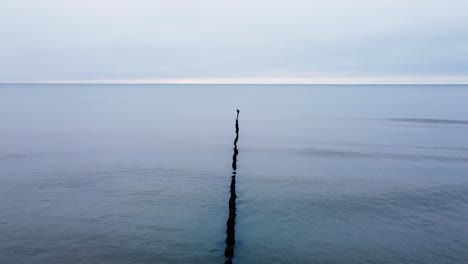 hermosa vista aérea de un antiguo muelle de madera en la costa del mar báltico, día nublado, playa de arena blanca afectada por la erosión costera del mar, costa tranquila, disparos de drones de ángulo bajo que se mueven hacia atrás