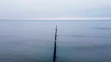 beautiful aerial view of an old wooden pier at the baltic sea coastline, overcast day, white sand beach affected by sea coastal erosion, calm seashore, wide low angle drone shot moving backwards