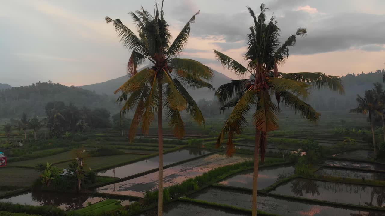 Vista aerea del punto panoramico di Bukit Cinta con il vulcano Monte Agung, persone, risaie, contadini e palme all'alba a Karangasem, Bali, Indonesia