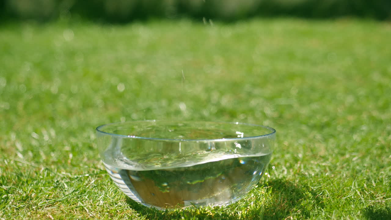 그릇에서 딸기 따기