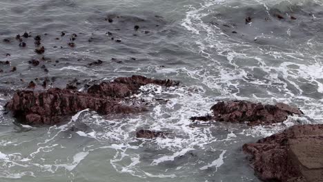 Kelp-and-waves.-Bristol-Channel.-Devon.-England.-UK