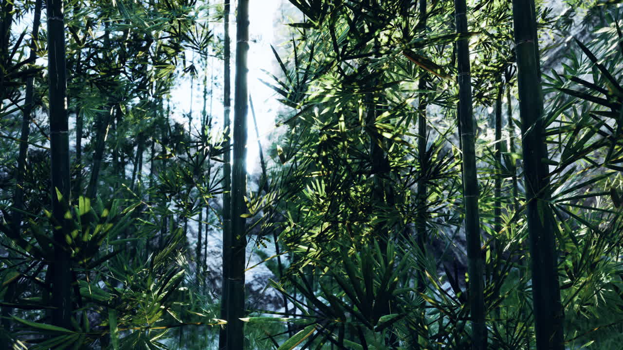 la luz del sol fluye a través de un exuberante bosque de bambú
