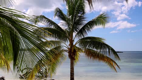 The Blue Mountains in Jamaica, Caribbean, Middle America