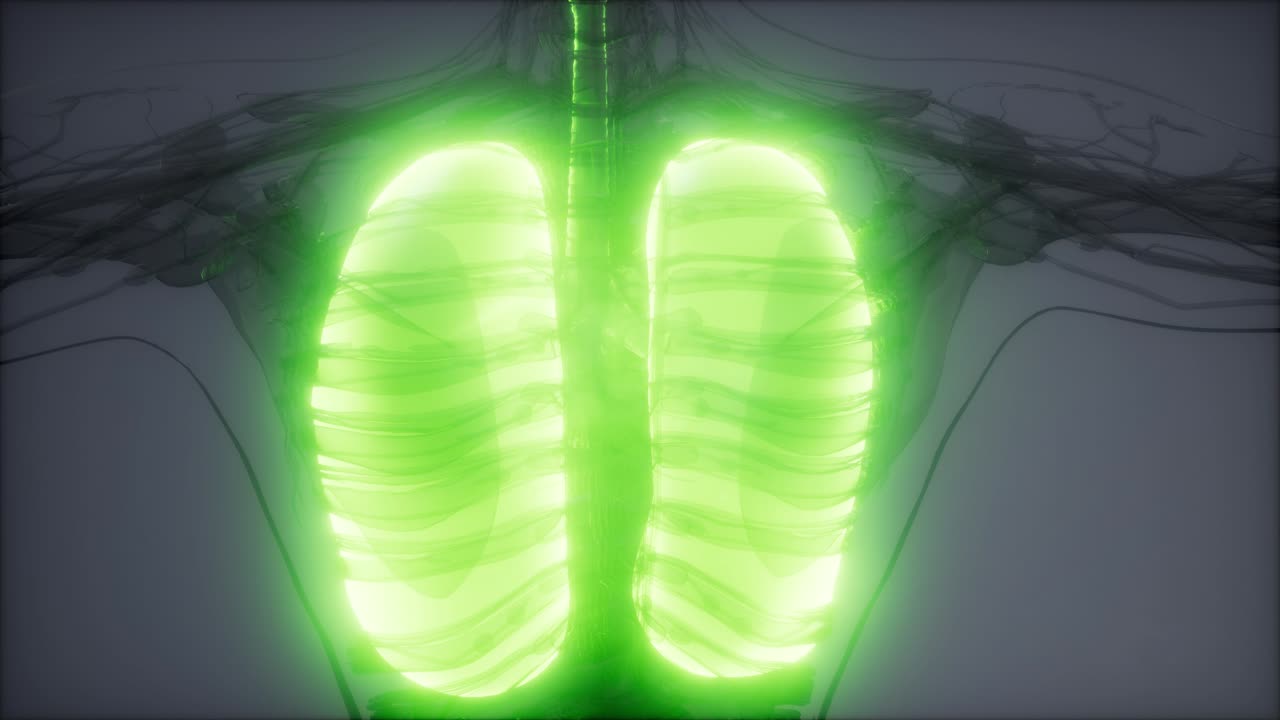 examen radiológico de los pulmones humanos