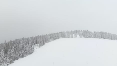 aerial forward over snow covered landscape with forest and snow flying into the lens