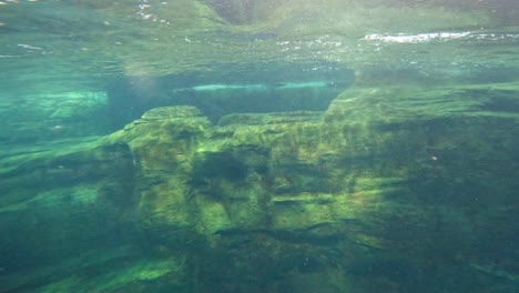 submerged rocks viewed through clear water