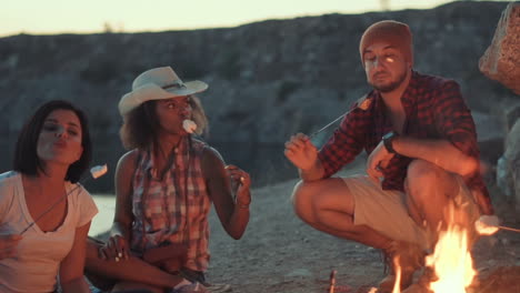 friends roasting marshmallows over a campfire