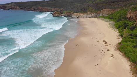 Olas-Rompiendo-En-El-Popular-Lugar-De-Surf,-Playa-Moonee,-Cerca-Del-Puerto-De-Coffs,-Nueva-Gales-Del-Sur,-Australia