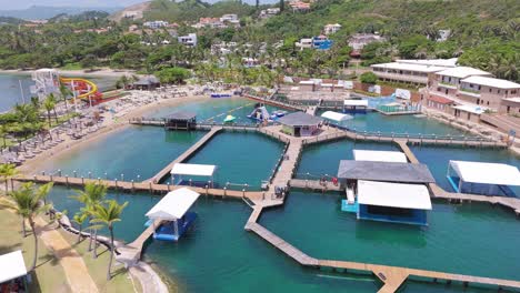 ocean world adventure park in puerto plata offering aquatic animal encounters