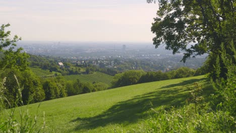 vienna city view during beautiful summer day