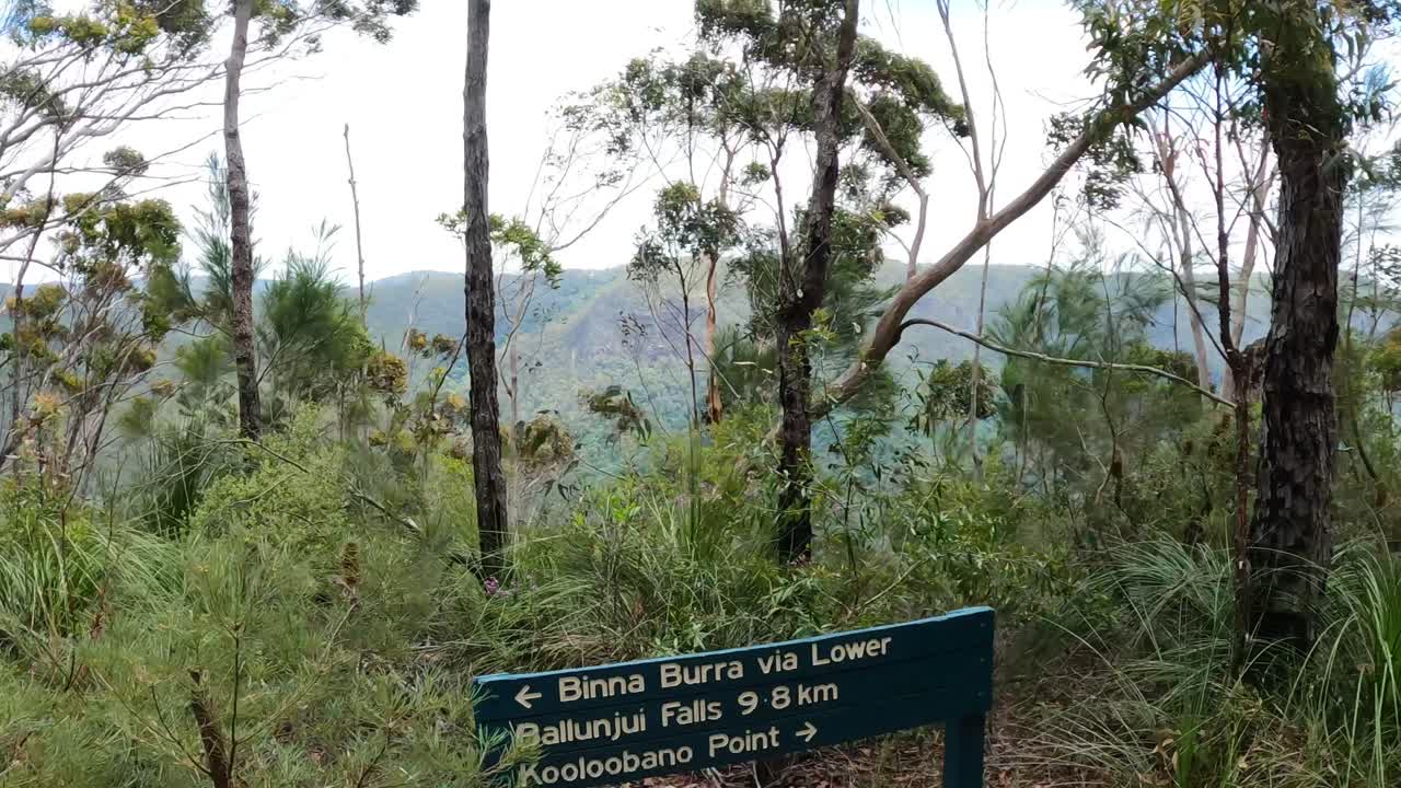 senderismo a través de un bosque exuberante con vistas panorámicas