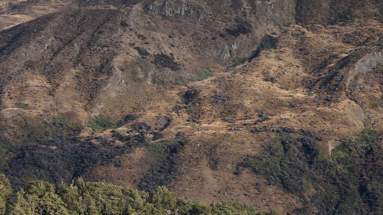 A serene mountain landscape with drifting mist under soft natural light, captured in Queenstown, New Zealand