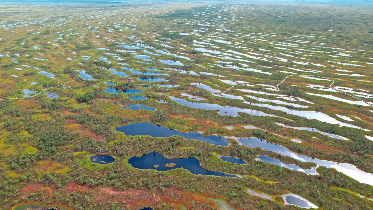 Vibrant aerial view of Kemeri swamp landscape in Latvia