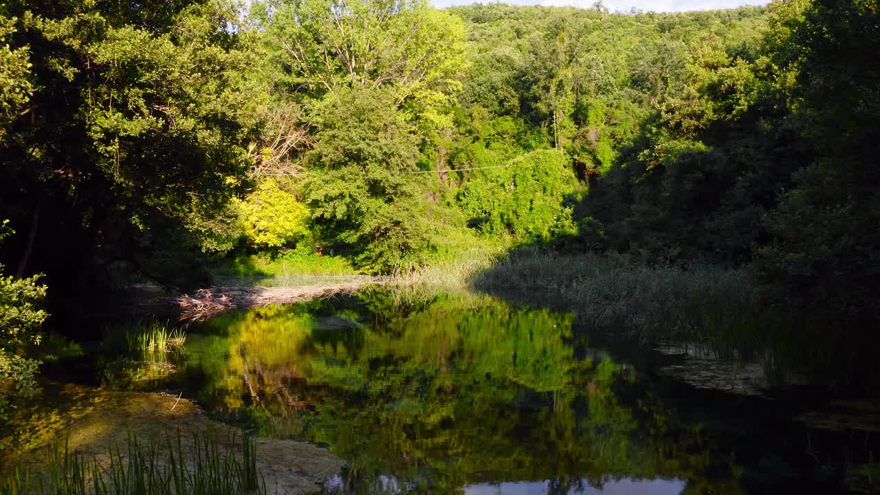 полет над чистым болотом в сердце дикой зеленой природы, северная македония