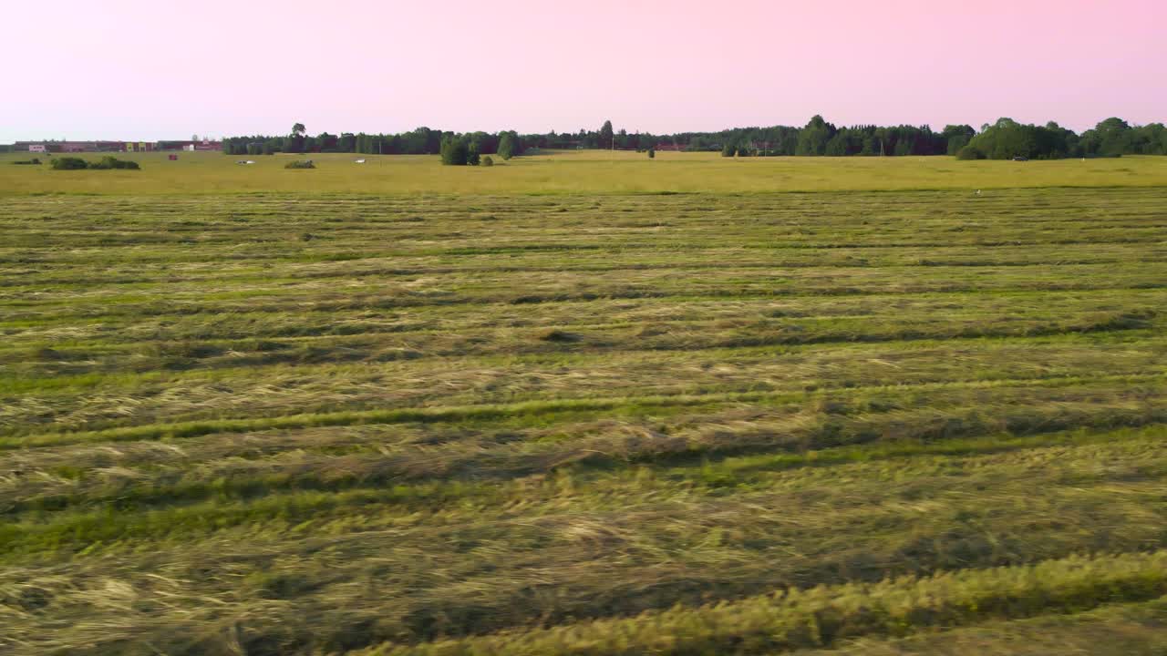 Aerial drone footage gliding and flying over at a farmfield during red sunset where the reeds and hay have freshly been cut and mowed. Red sky with traffic and trees in the background, summer evening