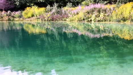 Lago-De-Agua-Turquesa-Con-Flores-Y-Plantas-En-El-ángulo-De-La-Orilla-2