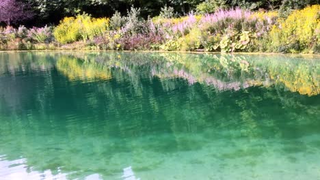 lago de agua turquesa con flores y plantas en el ángulo de la orilla 2