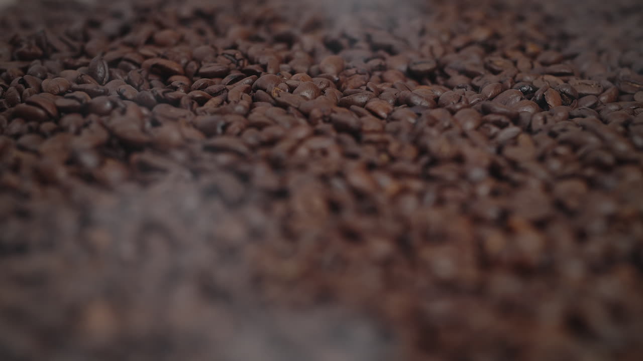 커피의 씨앗을 닫습니다