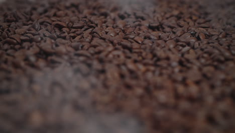 close up of seeds of coffee