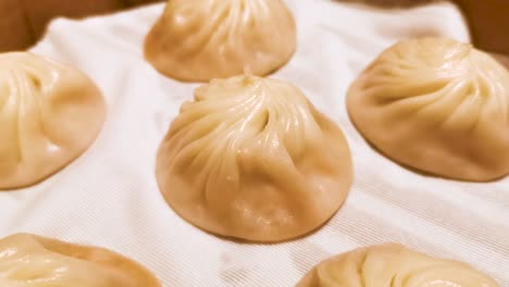 chinese style restaurant, famous shanghai cuisine, fresh hot xiao long bao in streamer