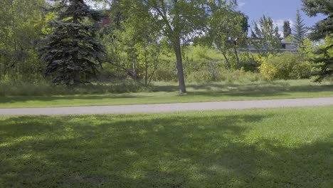 tranquil-park-pathway-on-a-summer-day-with-forest-lush-green-foilage-on-a-stunning-blue-sky-with-pine-maple-oak-trees-and-nobody-out