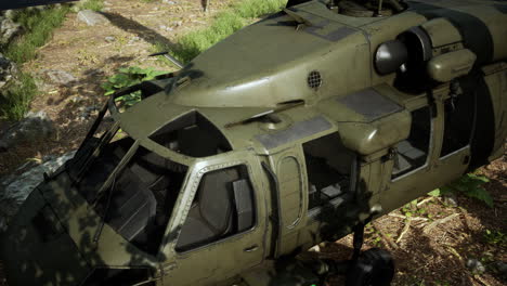 military helicopter in deep jungle