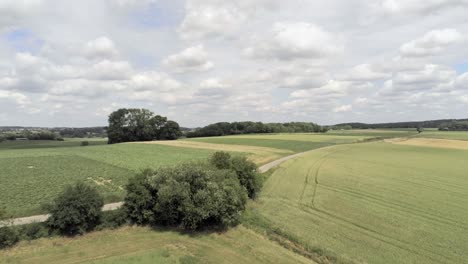 rural meadows groaning under the drought, overijse, belgium