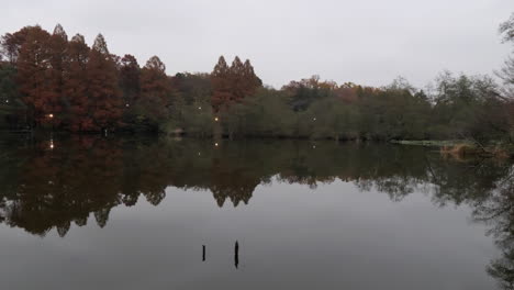 An-autumn-in-the-main-lake-of-Kichijoji-Park,-in-Tokyo,-Japan